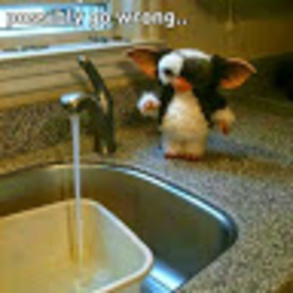 Meet your Posher, Brandon - Picture 1 of 1